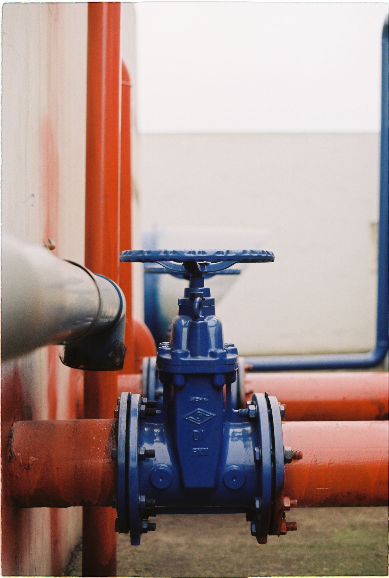 A blue cast-iron gate valve bolted between two painted steel pipes.